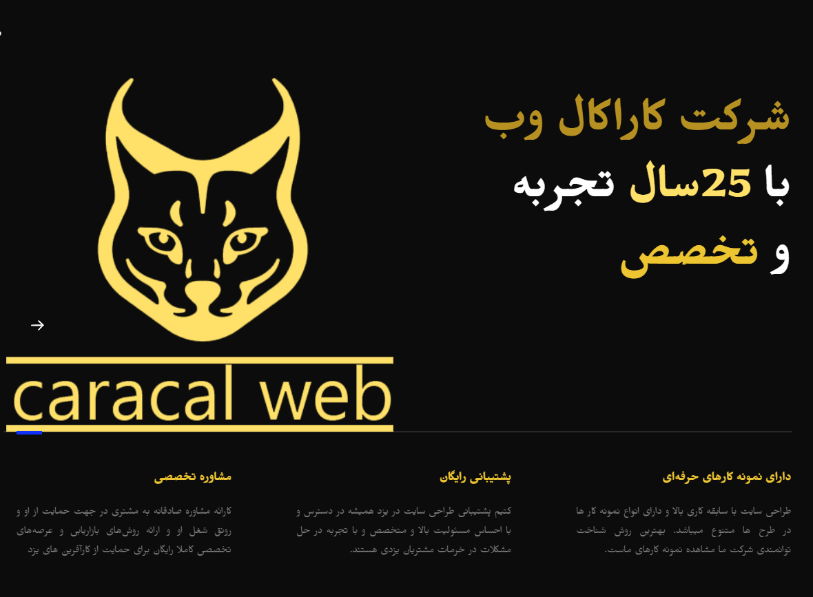 شرکت طراحی سایت کاراکال وب